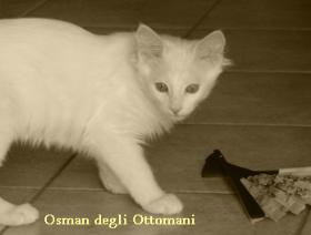 CH Osman degli Ottomani