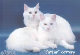 Tzecul Catlar och Tcaesar II Catlar