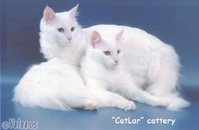 Tzecul Catlar and Tcaesar II Catlar