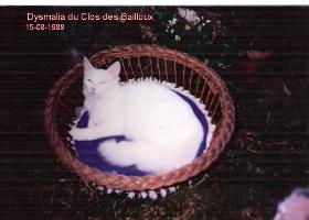 Ch Dysmalia du Clos des Baillioux