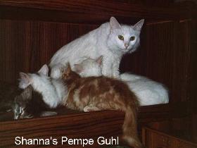 Shanna's Pempe-Gül
