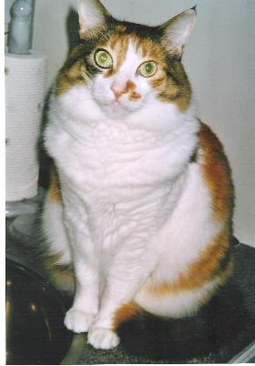 Aghtamar's Gueria Hasarak-Van